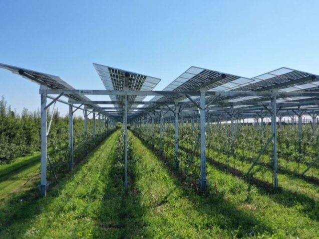 agrivoltaico